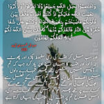 پاکستان کی ضرورت نظریہ پاکستان ہے جمہوریت نہیں