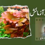 پروننگ اور آزمائش