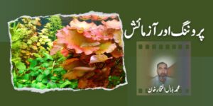 پروننگ اور آزمائش