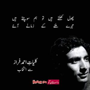 اُردو شاعری سے انتخاب