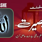نور بصیرت