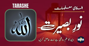نور بصیرت