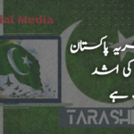 ہمیں نظریہ پاکستان پر چلنے کی اشد ضروت ہے