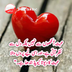 Best Urdu Quotes