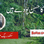 زمیں کا حسن پودے ہیں