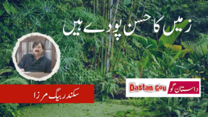 زمیں کا حسن پودے ہیں