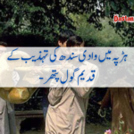 ہڑپہ میں وادی سندھ کی تہذیب کے قدیم گول پتھر –