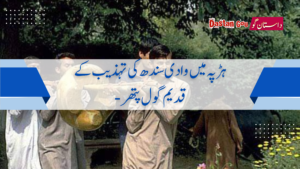 ہڑپہ میں وادی سندھ کی تہذیب کے قدیم گول پتھر –