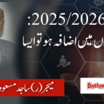 بجٹ2025/2026: تنخواہوں میں اضافہ ہوتو ایسا