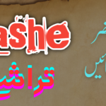 تراشے ( اُردو ادب سے منتخب مختصر تحریریں )