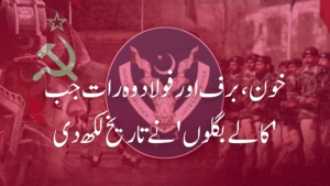 خون، برف اور فولاد وہ رات جب ‘کالے بگلوں’ نے تاریخ لکھ دی